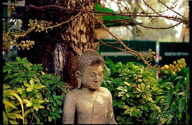 Phnom Penh: Private Walking Tour with a Local - Practical guidance before you go
