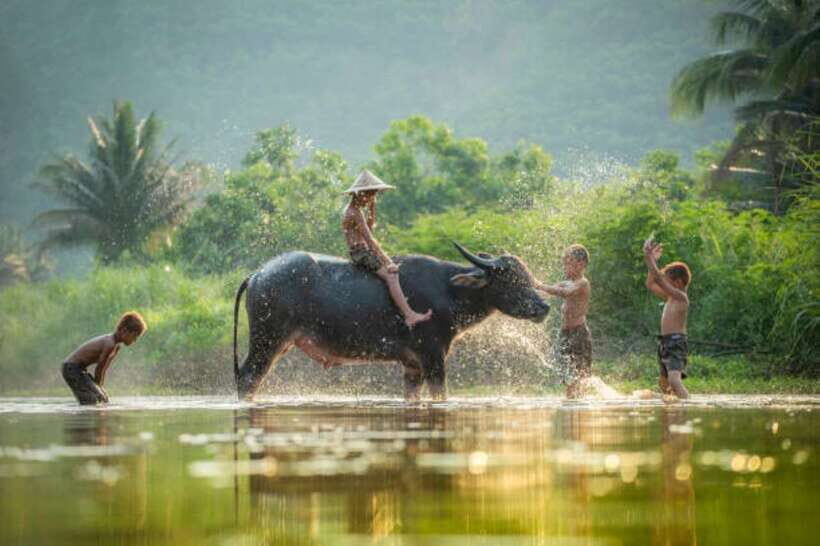 Tonle Sap Cruise & land Tour between Phnom Penh & Siem Reap - Price and Value at $239 Per Person